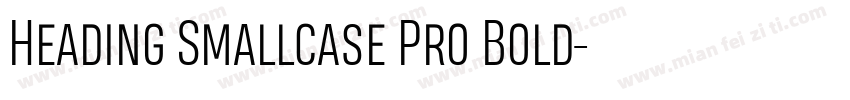 Heading Smallcase Pro Bold字体转换